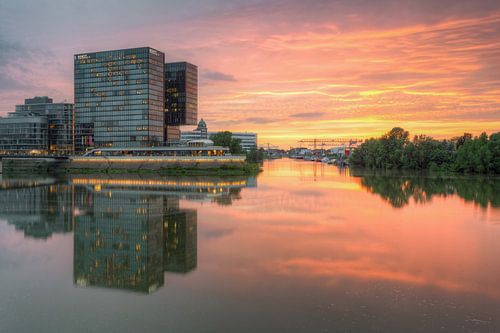 In the Media Harbour Düsseldorf