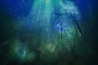 Fantasy world