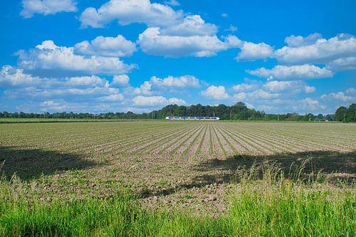 Paysage néerlandais