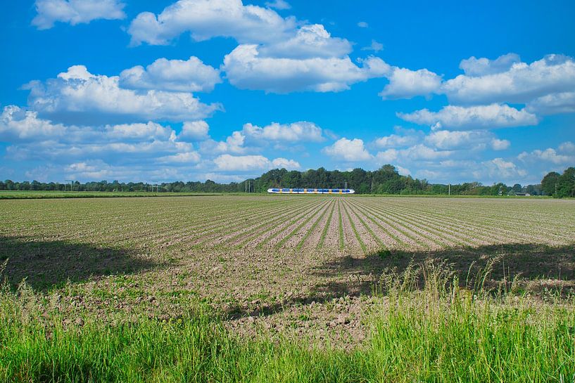 Een akker, hollands landschap van Jolanda de Jong-Jansen