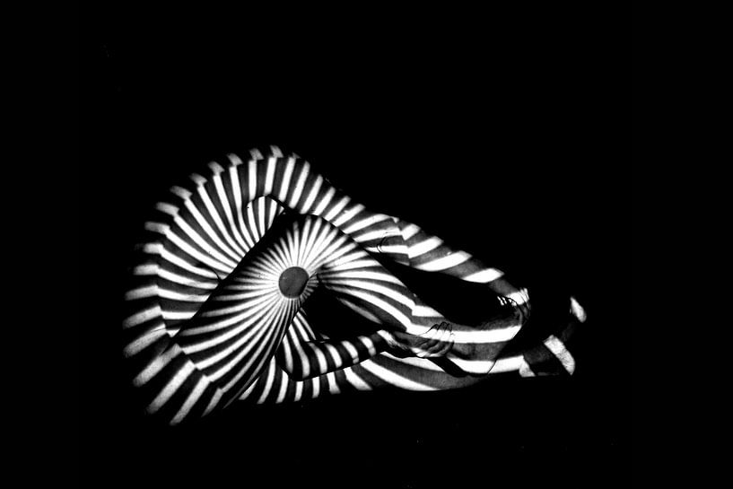 The shell by Marius Boer