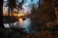 morning has broken