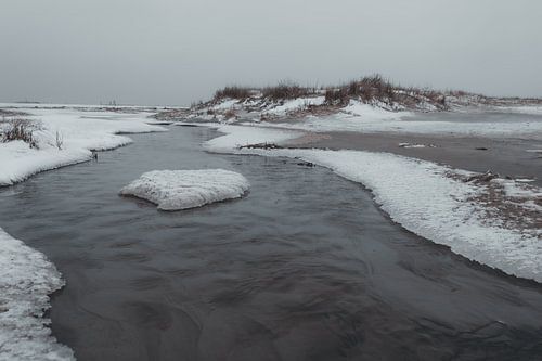 Winter Current
