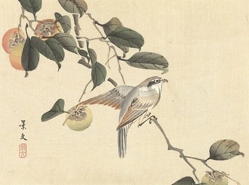 Oiseau et kaki de Matsumura Keibun - 1892