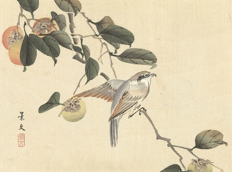 Oiseau et kaki de Matsumura Keibun - 1892 par Gave Meesters