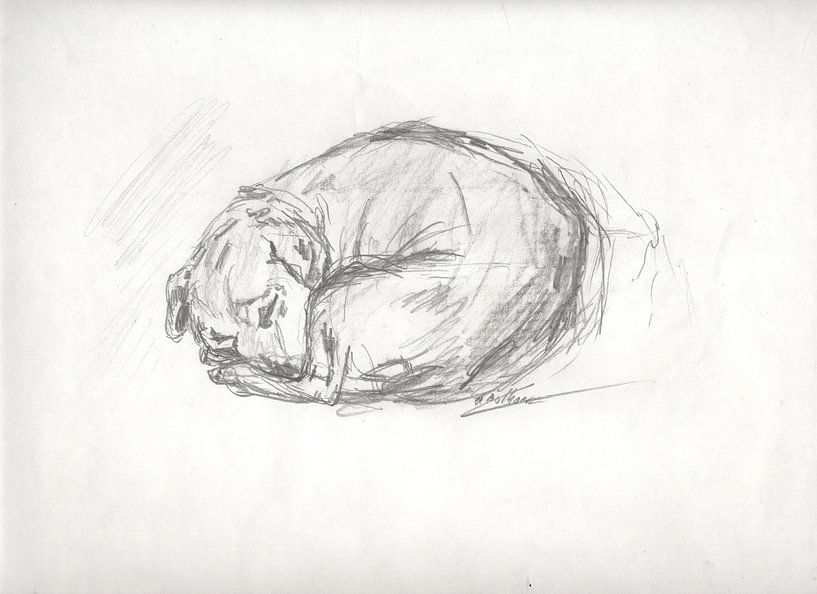 Molly von Andre Bolhoeve