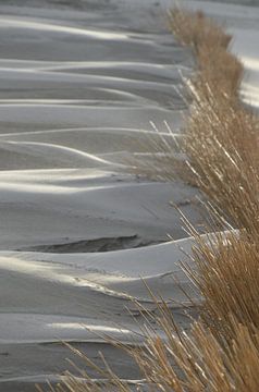 Driftender Sand von Corinna Vollertsen
