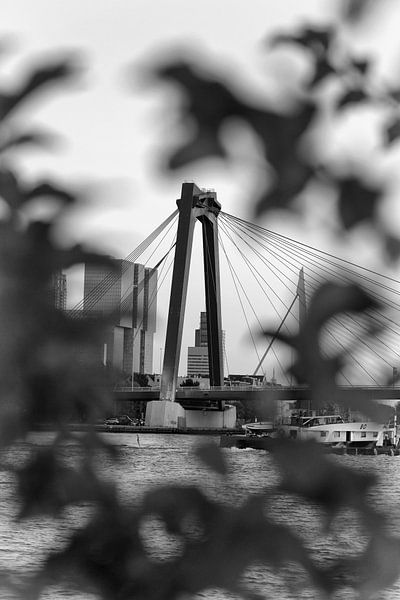 Willemsbrücke  von Armando de Sousa