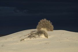 White Sands Dunes National Monument in New Mexico USA