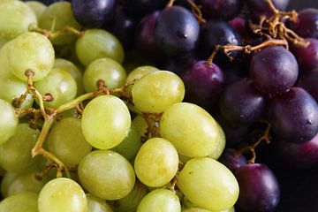 grüne und violette Trauben als Lebensmittelhintergrund, Nahaufnahme mit ausgewähltem Fokus und enger von Maren Winter