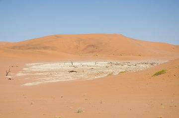 Zoutpan bij Deadvlei, Namibië van Maurits Kuiper