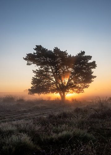 Terletse heide part 14