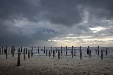 Palendorp Petten sur Johan Mooibroek