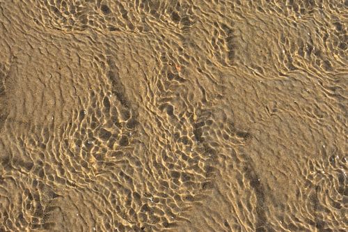 Patronen in zand en ondiep water