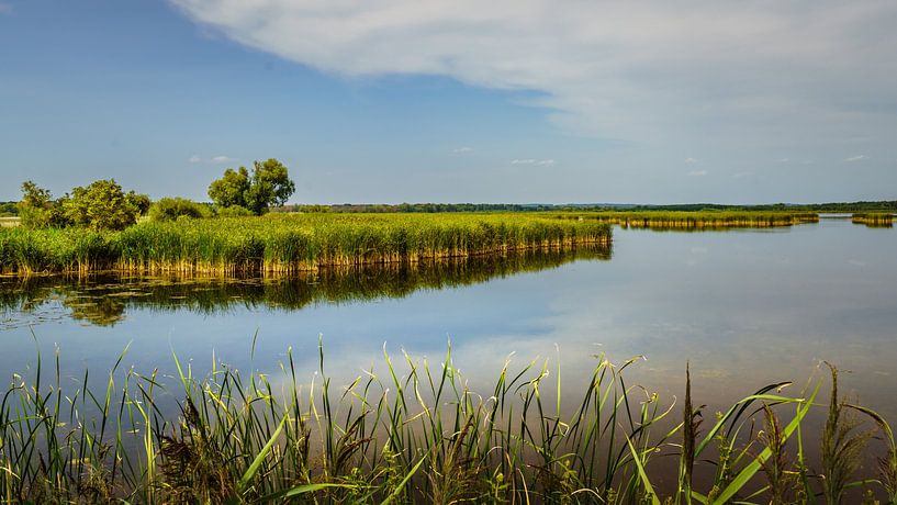 Teiche von Przemkow von rosstek ®