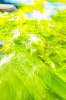 5 shades of green with blue