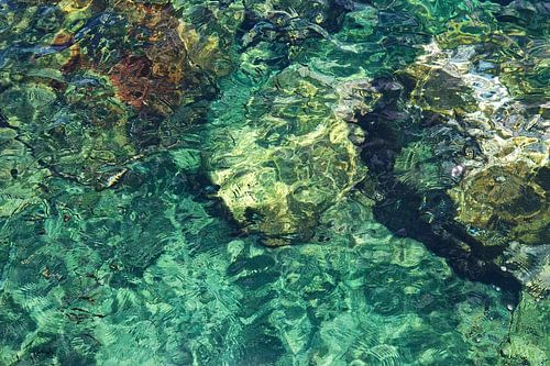 Tropische groene water