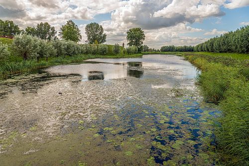 Slotgracht van het Nederlandse kasteel Loevestein