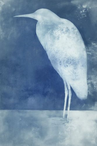 Silhouette eines Küstenvogels