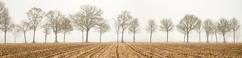 Achterhoek, Nederland van Jan Fritz