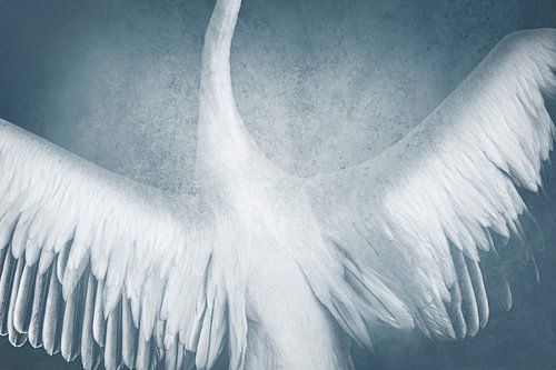 Hemelse Elegantie Zwevende Vleugels in Diep Blauw