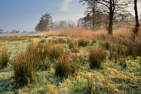 Natuurgebied de Hel 