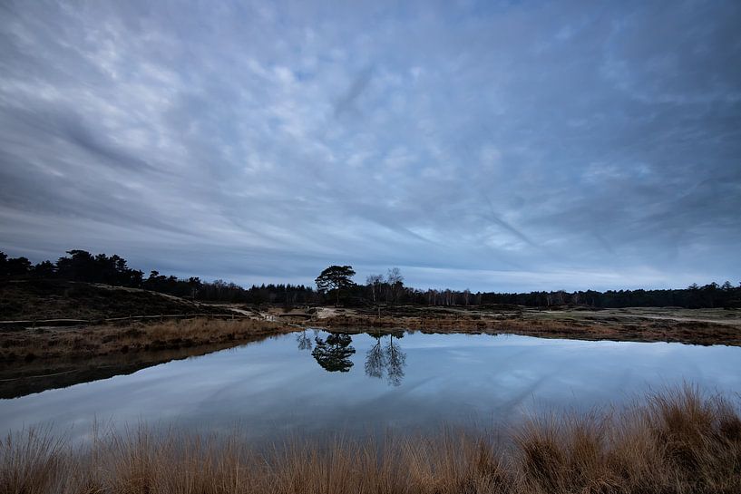 Forest lake Heidestein Bornia estate! by Peter Haastrecht, van