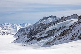 Schweizer Alpen - Aletschgletscher von t.ART