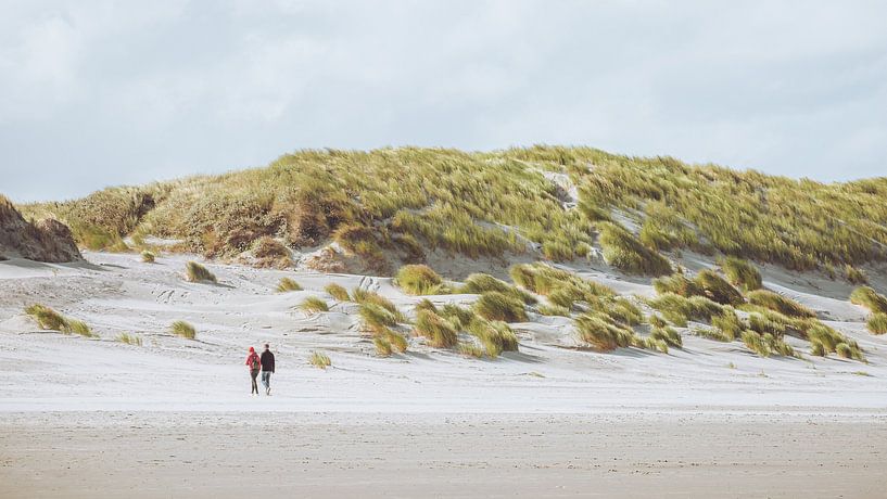 Autumn day in the dunes of Ameland by Marcel van Oene