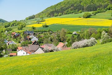 Village au printemps sur Achim Prill