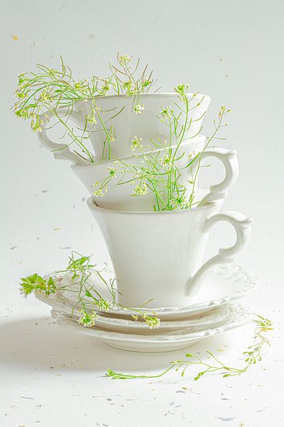 Still life 'White by Willy Sengers
