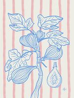 Figs on branch