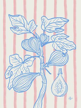 Figs on branch by Anna Benge