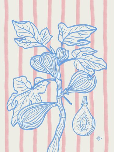 Vijgen aan tak - botanische tekening