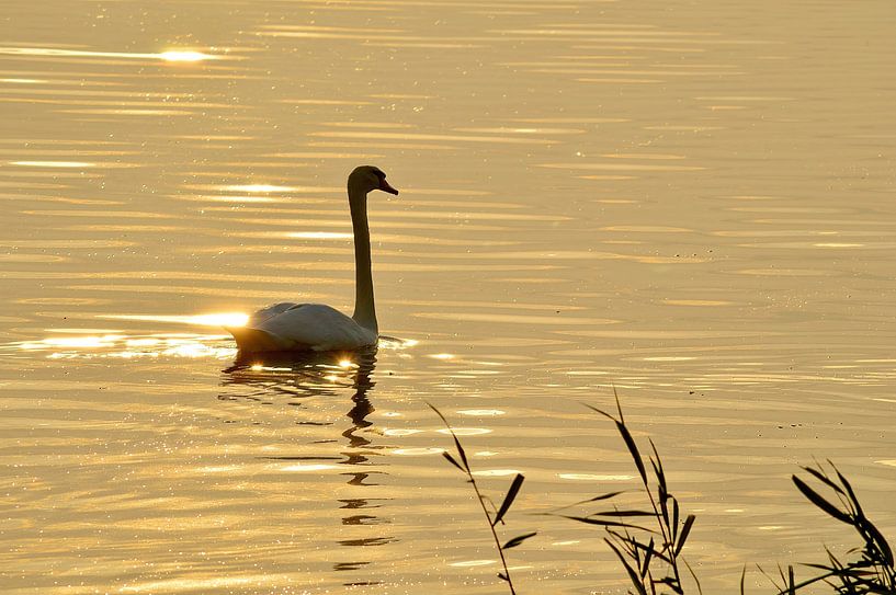 Bright new day by Frank's Awesome Travels