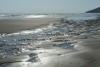 Marée basse