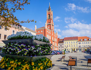 Blick auf den Marktplatz und Rathaus von Kamenz