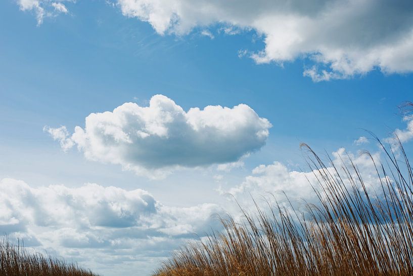 WOLKIGER TAG von Henriette Tischler van Sleen