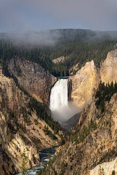 Lower Falls, Yellowstone National Park, USA van Jeroen van Deel