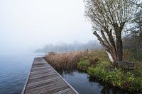 Kralingse plas in de mist II