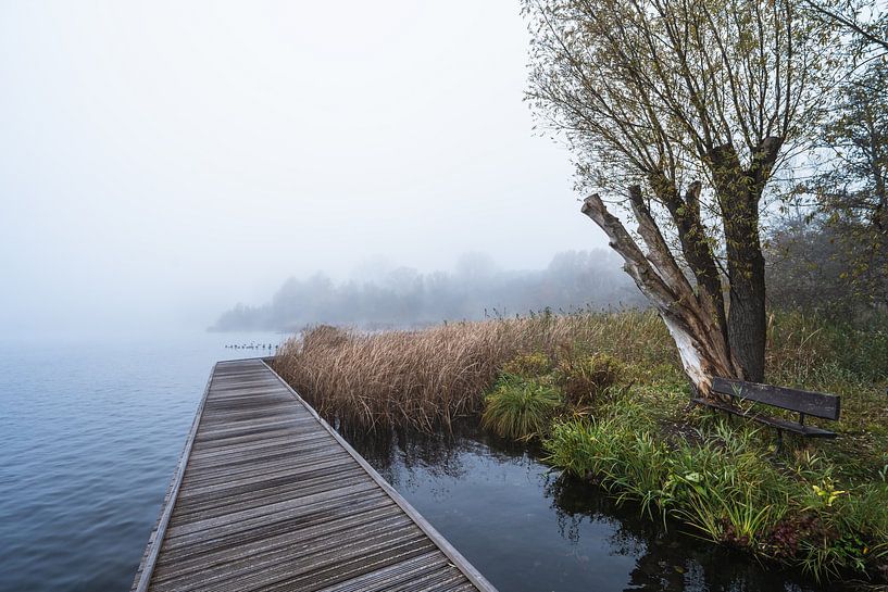 Kralingse plas im Nebel II von Samantha van Leeuwen