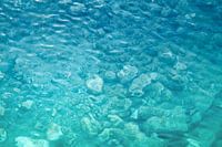 Helder water