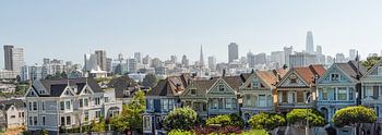 Painted Ladies