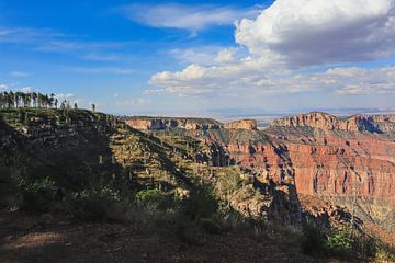 Grand Canyon Noord van Lisa Schrijvers