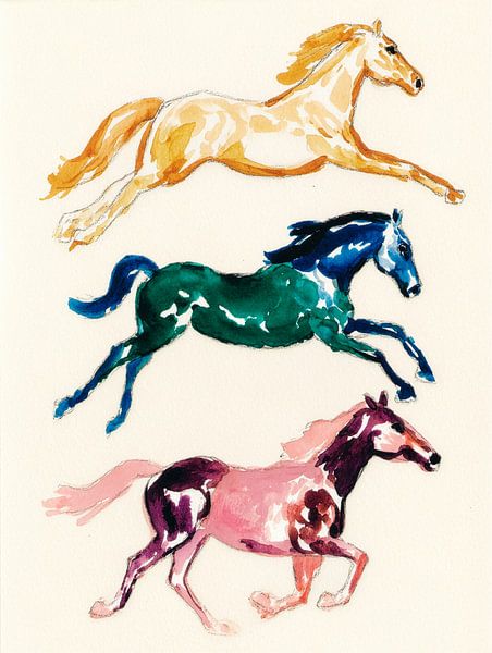 Colourful horses in motion by Studio Oars