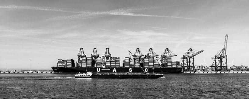 Rotterdam par Peter Hoogeveen