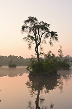 Eilandje in Ochtendmist