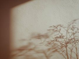 Sanfte Schatten der Natur von Thea