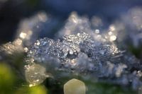 Le givre