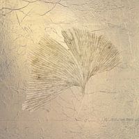 Ginkgo. Een nevelige ochtend. 1